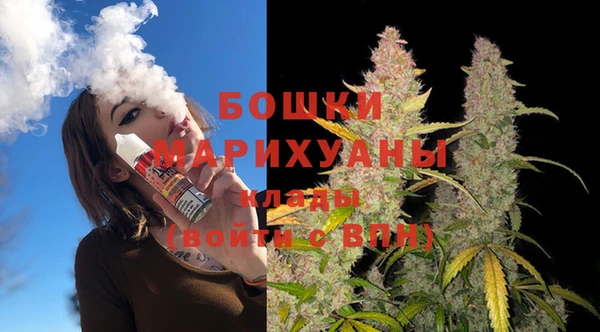 мдпв Надым