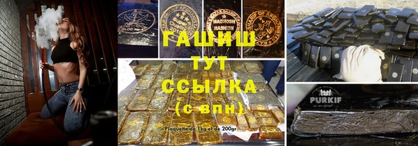 мдпв Надым
